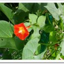 종점세탁소 이미지