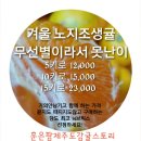 겨울노지조생귤 많은이익없이 저렴한 가격으로 보내드려요 이미지