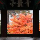 닭실마을 이미지