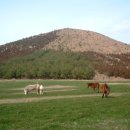 오름이야기 이미지