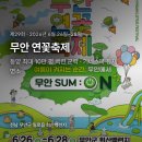 화양연화농장 | 무안 연꽃축제 2026, 이찬원·전유진·안성훈 라인업과 회산백련지 관람 꿀팁