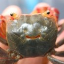 용자농장 이미지