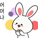 이츠펫(It's Pet) 네이버블로그