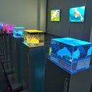 태백고생대자연사박물관 이미지