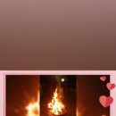 레몬숲어린이집 이미지