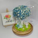 수원-0355 이미지