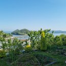 오차드 123 이미지