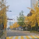 주식회사 부동산중개법인서울 이미지