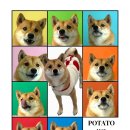 오월이네 | 양평 애견유치원 추천, 양평 애견호텔 '오월이네 애견유치원 훈련센터' 후기 !!