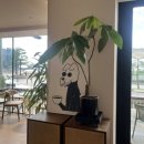 폰드(FOND) 이미지