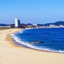 가진활어회센터 이미지