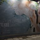 낮은 바람의 속삭임 초록빛 노랫소리와 너를 닮은 사람들과 이 별이 마음에 들어
