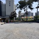 월산콩국수 이미지