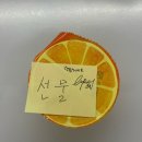 [낭니 라이프] 🍠 납작 고구마 누룽지 홀릭_2025.04.20