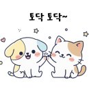 당진세차장 이미지