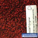 수정의집 이미지