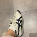댄싱타이거 | 하카타 캐널시티 필수템 오니츠카타이거 멕시코66/재고팁/면세팁)후기/ 캐널시티 분수쇼(시간팁/명당팁)