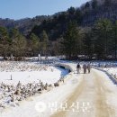 화두 기능은 번뇌 망상 퇴치…공안 기능은 선의 지혜 터득 이미지