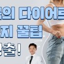 초정상 다이어트!! 닥터지노가 알려준 3가지 궁극의 다이어트 꿀팁 실생활 팁 이미지