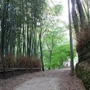 시대무도장 이미지