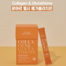로아르 헬시