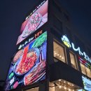 식유촌길 51-3 (1) | 선바위역 맛집 나오리 장작구이 과천점, 셀프로 즐기는 가족 고기 외식! 무료 라면·아이스크림