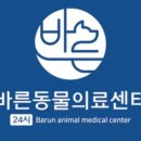 바른동물의료센터 이미지