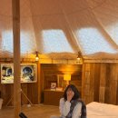 흥정리 | [평창]겨울 글램핑 감성숙소‘라플란드’ G1리뉴얼글램핑 내돈내산 리뷰