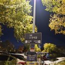 세븐일레븐 한강잠원2호점 이미지