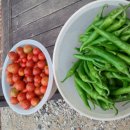 뒤뜰농장 이미지