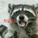 디스앤댓 이미지
