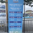 남도의 향기 | [목포] 쑥이네,🌿남도의 맛과 멋이 한자리에! 2025 남도국제미식산업박람회 방문후기🍽️ 목포 가볼만한곳...