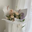 팔레드라팡