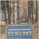 숨길+ 쉼길+ 순례길 이미지