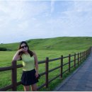 성산올레 이미지