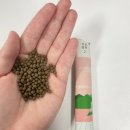 생활건강한의원 | [공지] 강남 생활건강한의원 - 다이어트한약 처방 과정 <필독>