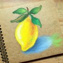 힐링취미 오일파스텔 드로잉 이미지