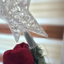 골드독트리멍 | 이제 크리스마스🎄트리도 원터치로 5분컷! 내돈내산 조아트 원터치트리 설치후기