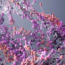 Fly PC Zone 이미지