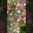 쉴만한강가 이미지