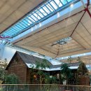 (주)큐티코리아 | 더현대 서울 주토피아2 팝업 시크릿 미션 방문 후기 및 할인쿠폰 받는 법 공유