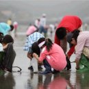 [제부마을]갯벌체험(바지락캐기)