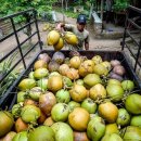 해관농장 이미지