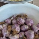 신림홈마트 이미지