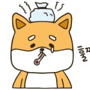 편하개 놀다가냥 이미지