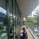 광명장애인종합복지관 | 서울 경기 카페 건물 유리창 청소, 렉산청소, 주차장 페인트 작업 후기(광명 장애인복지관 등)