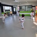 신성태권도 이미지