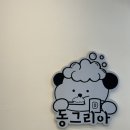 동그리아 이미지