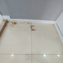 이안오창아파트경로당 | 오창 대우이안아파트 이사청소 10년 묵은 때 깨끗하게 청소해 드렸습니다