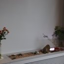코르드블랭크 이미지